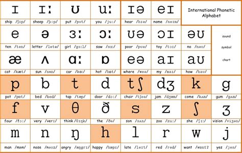 International Phonetic Alphabet chart for English dialects.